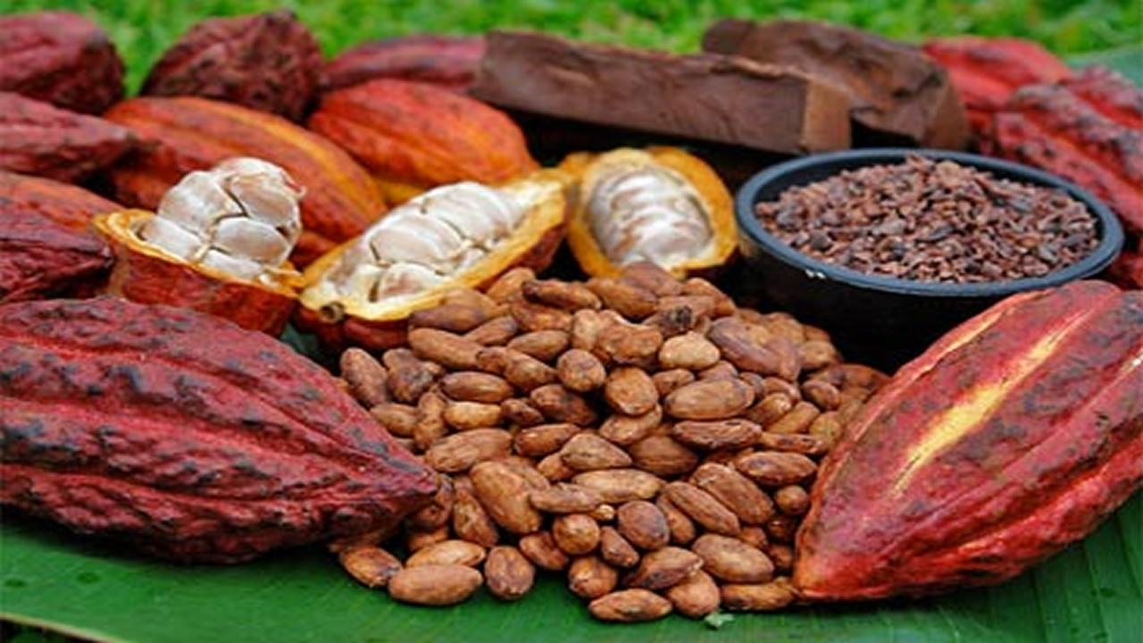 Alimentos Energeticos