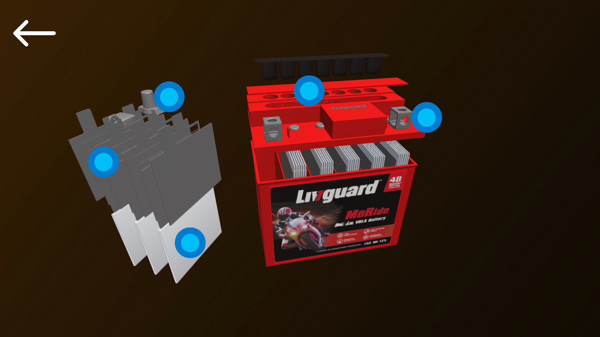 Livguard