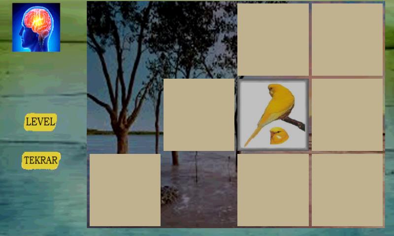 Kids Memory Game Birds