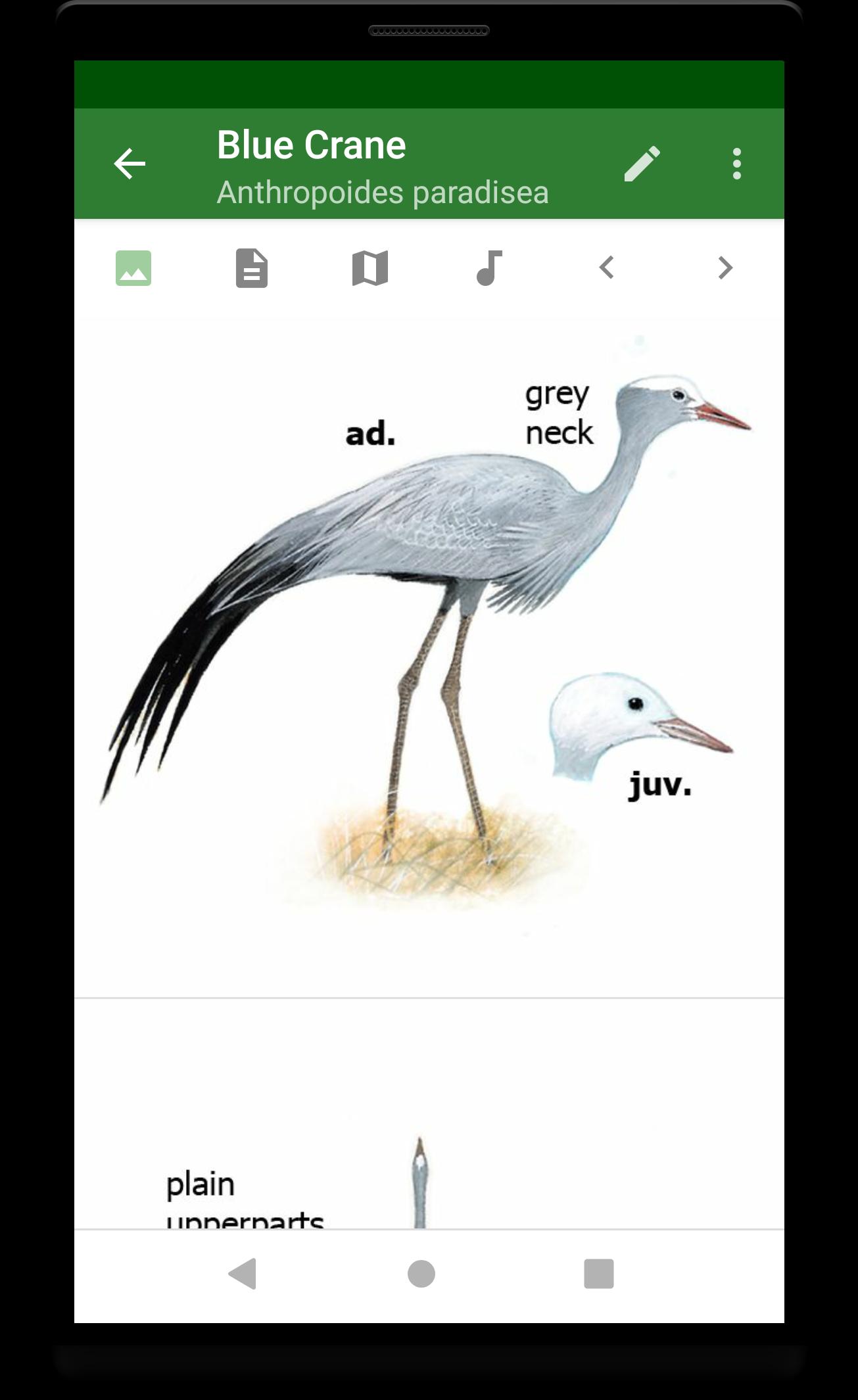Sasol eBirds (Lite)