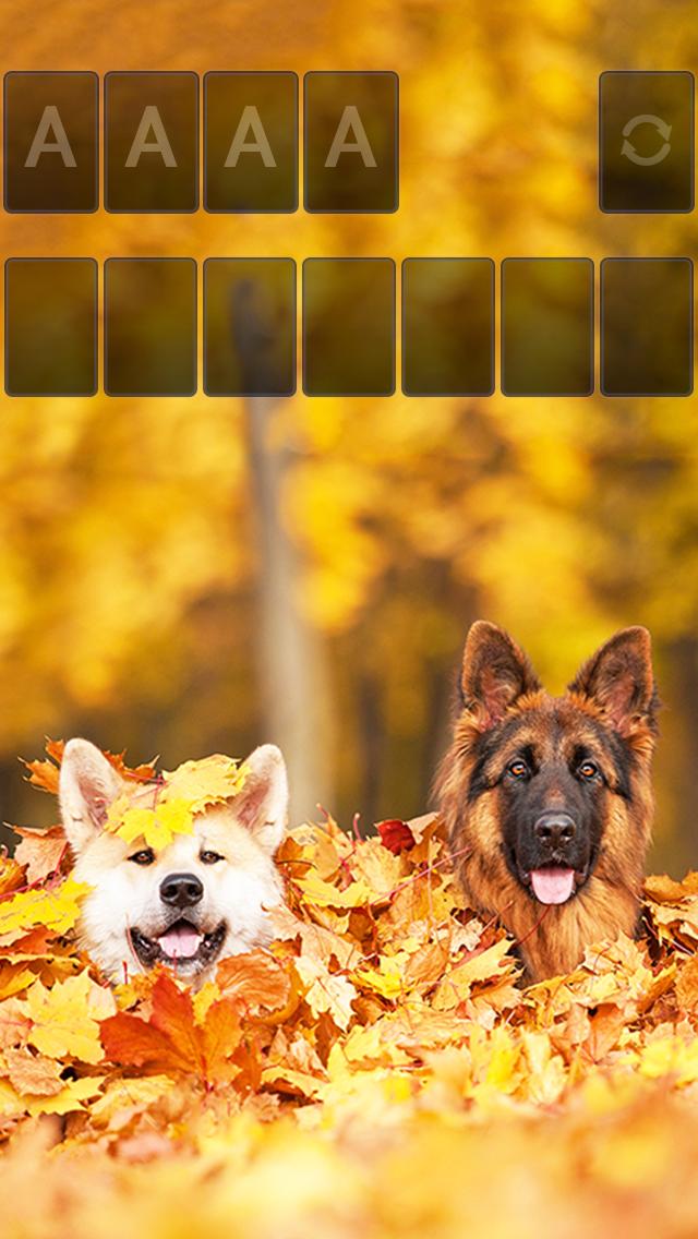 Solitaire Playful Dog Theme