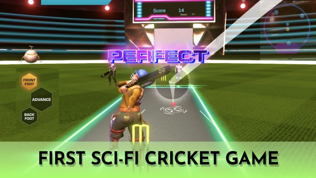 Cricket Fly