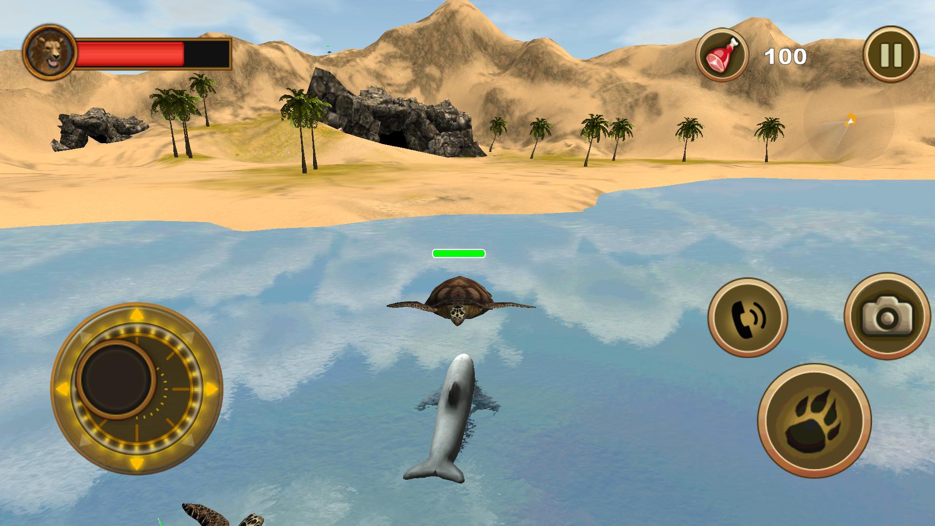 Dolphin Survival Simulator