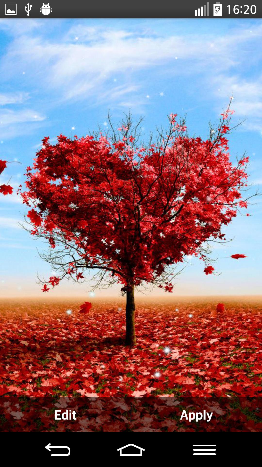 Heart Tree Live Wallpaper