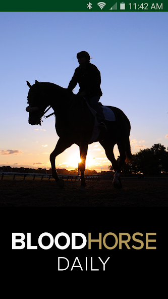 Blood-Horse Daily