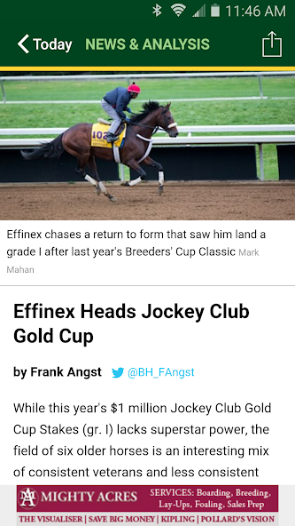 Blood-Horse Daily