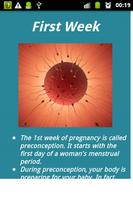 Pregnancy Awareness