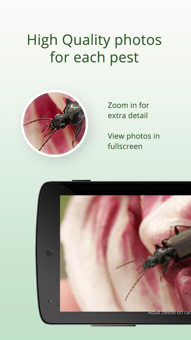 Veg Pest ID
