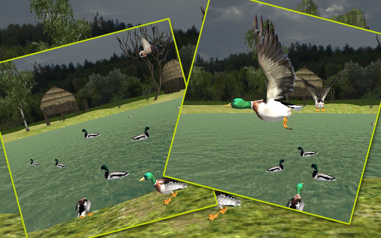 Sniper Duck Hunting