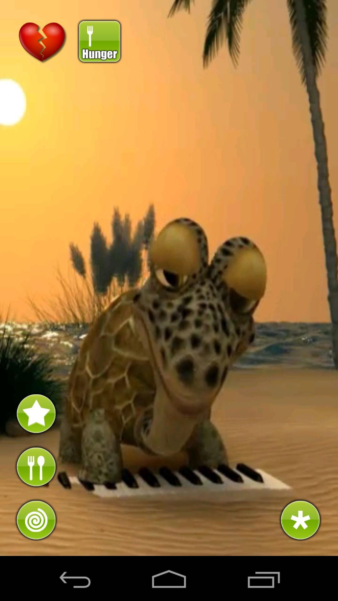 Talking Turtle