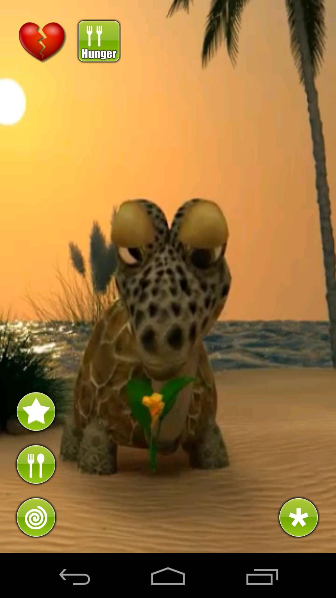 Talking Turtle