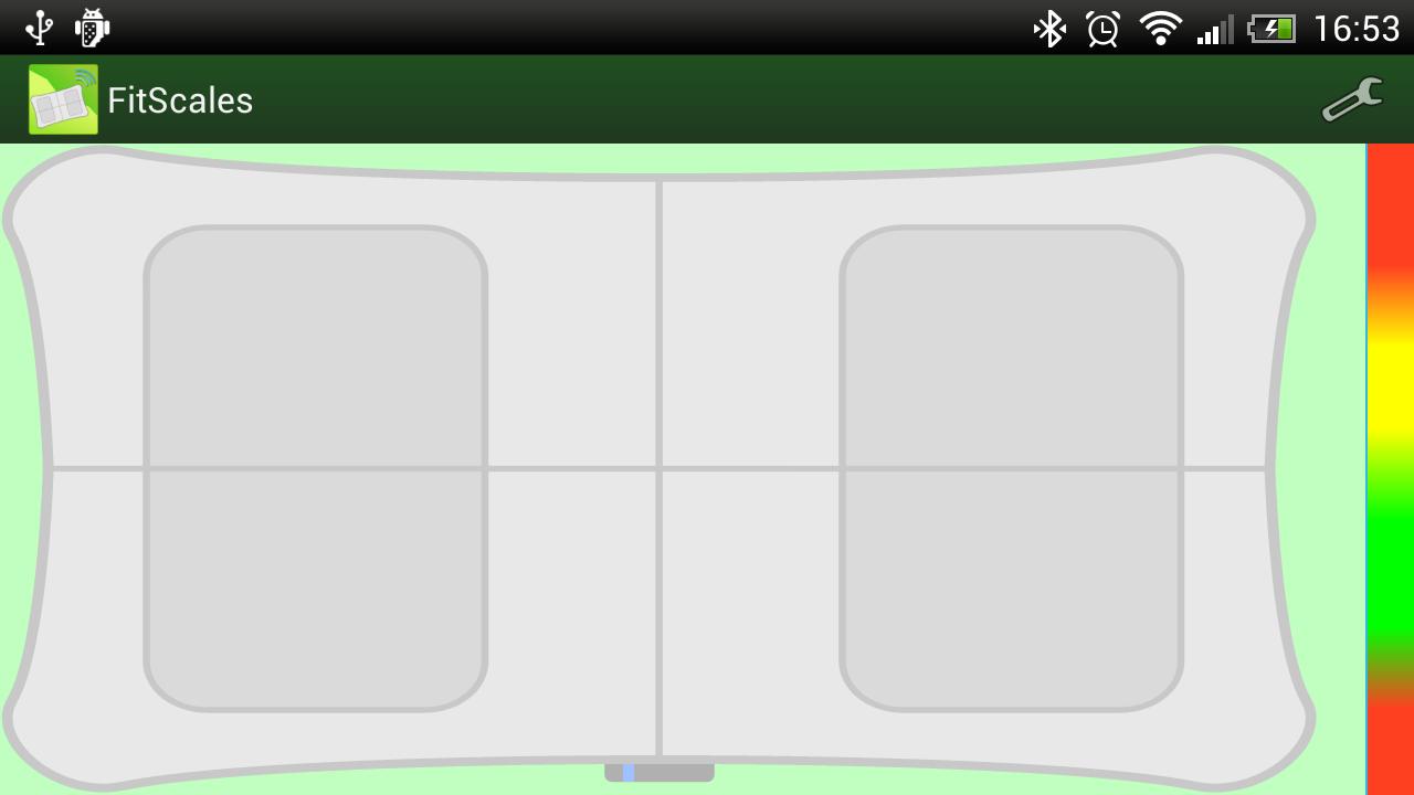 FitScales (Wii Balance Board)
