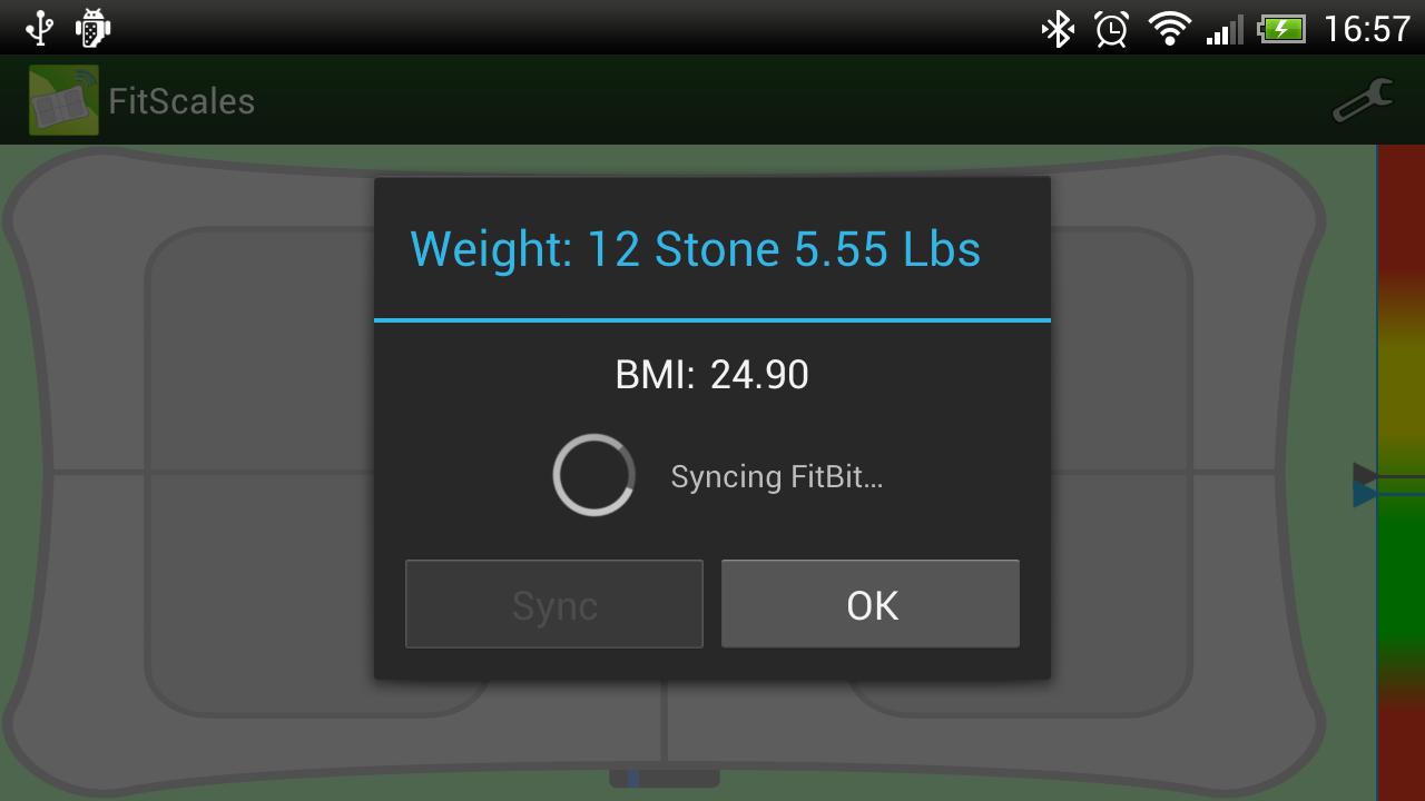 FitScales (Wii Balance Board)