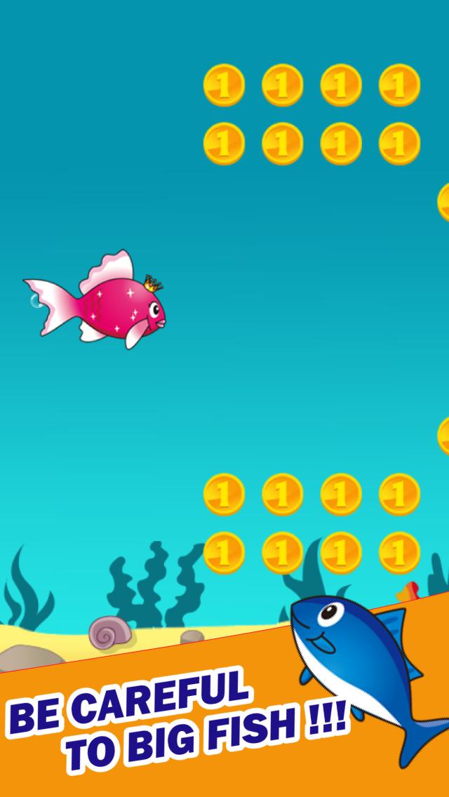 Princess Fish
