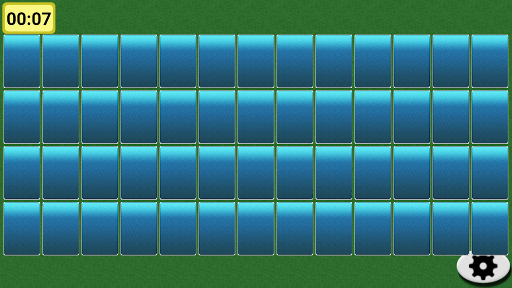 Memory Cards