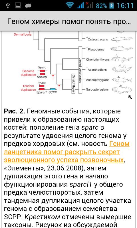Elemental (elementy.ru)
