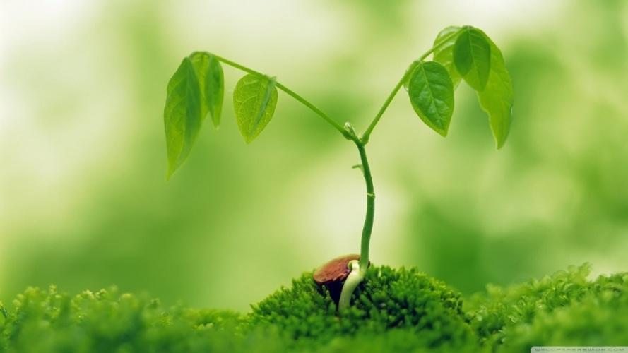 Smart Garden