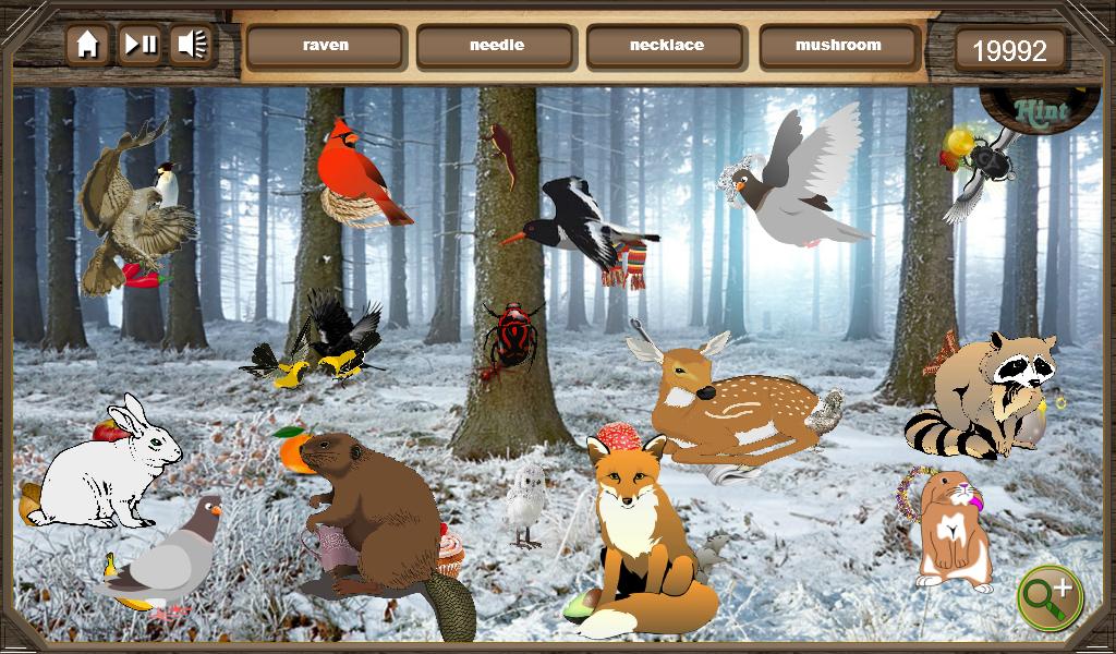Winter Wonders - Hidden Object