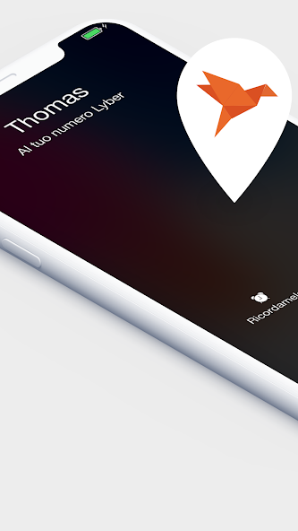 Lyber, landline on your mobile