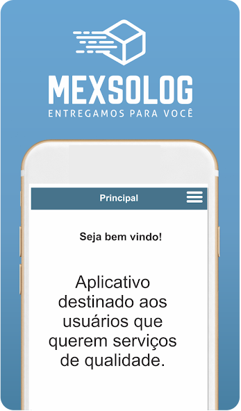 Mexso Log