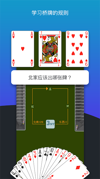 Fun Bridge