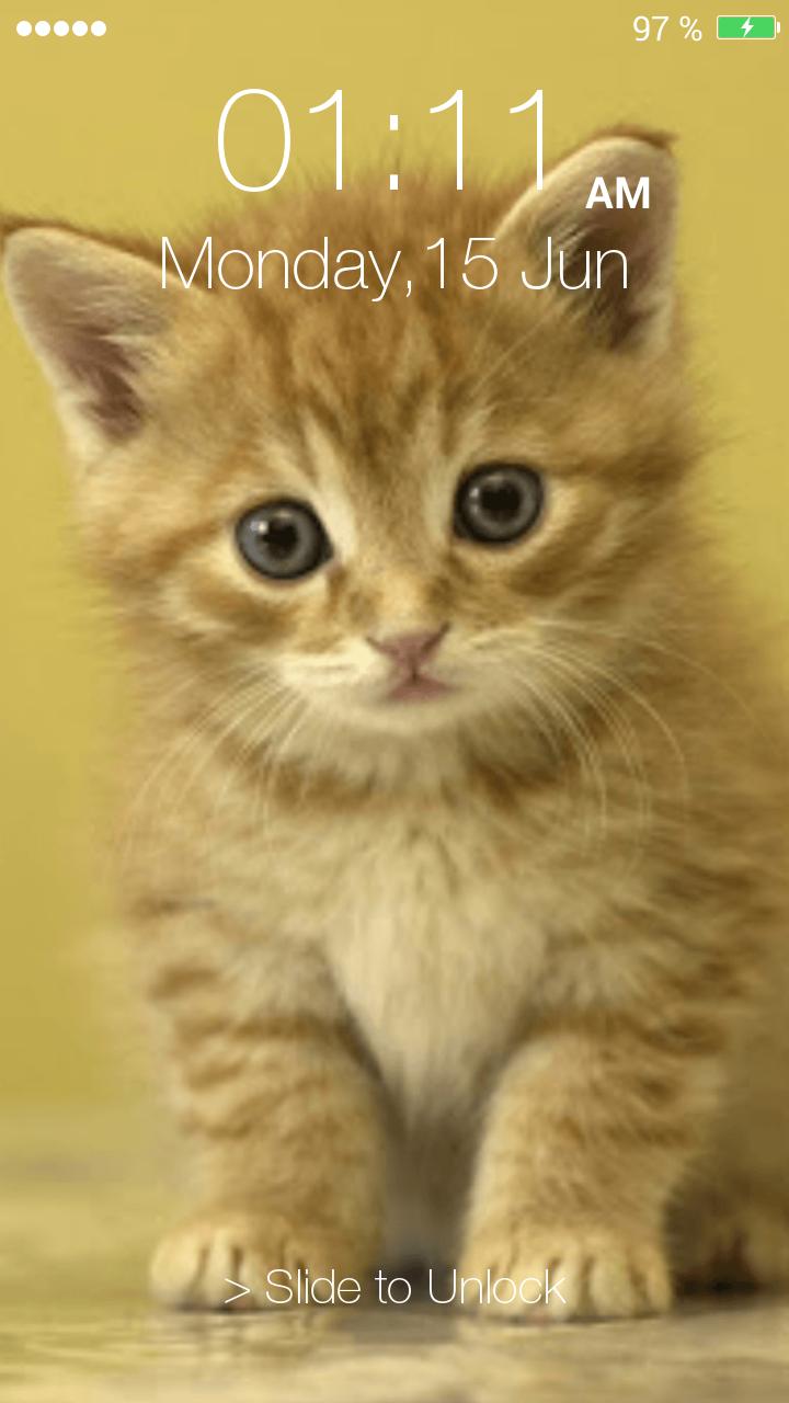 Kitty Pin Screen Lock