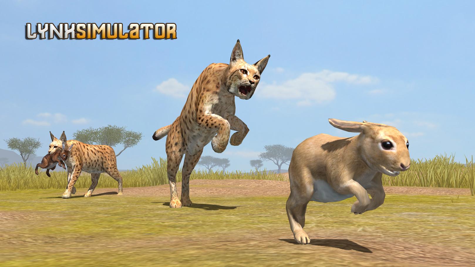 Lynx Simulator