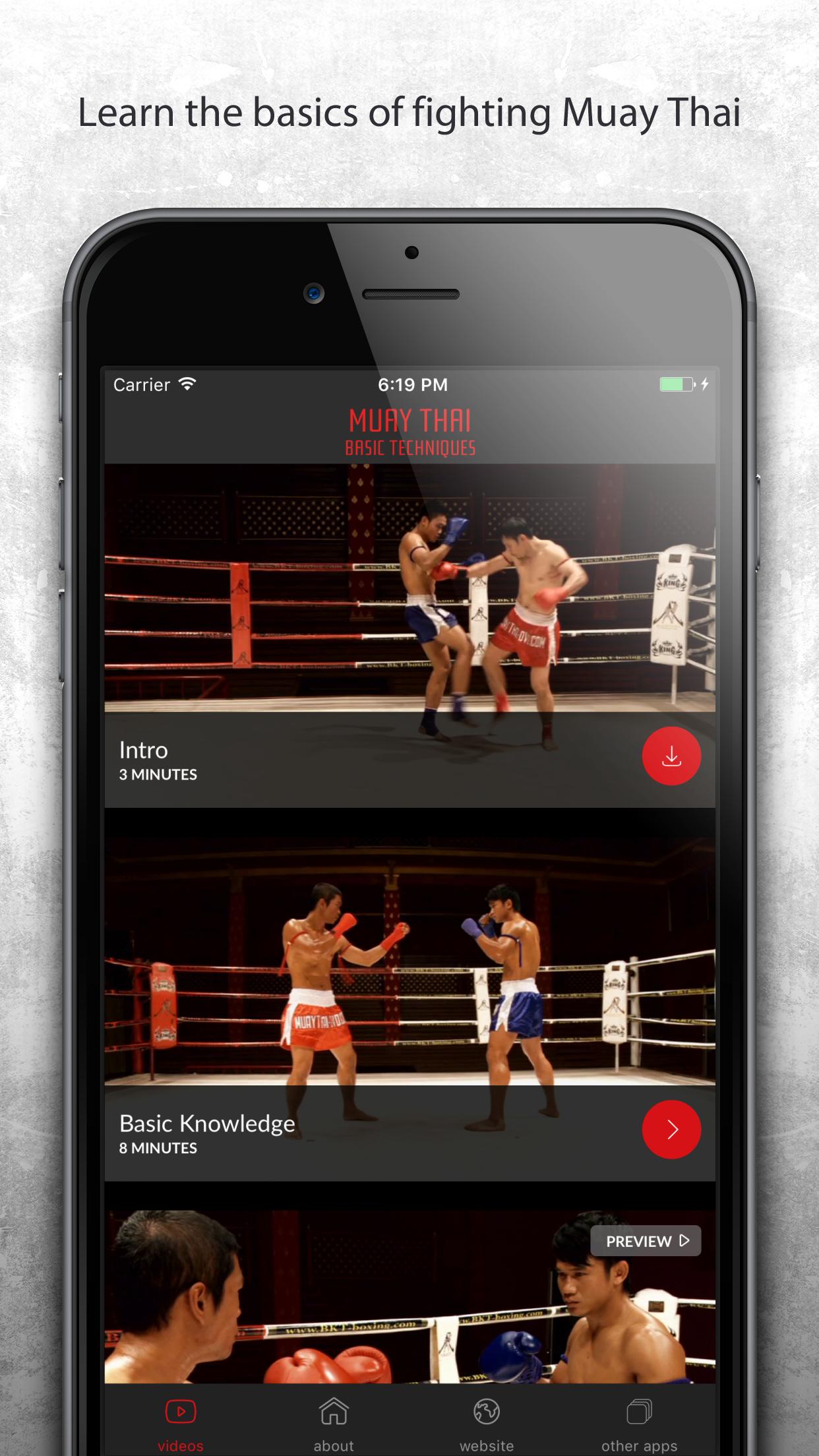 Muay Thai - Basic Techniques