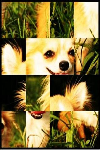 Cute dog Puzzle free1