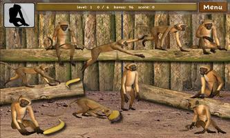 Click! Zoo