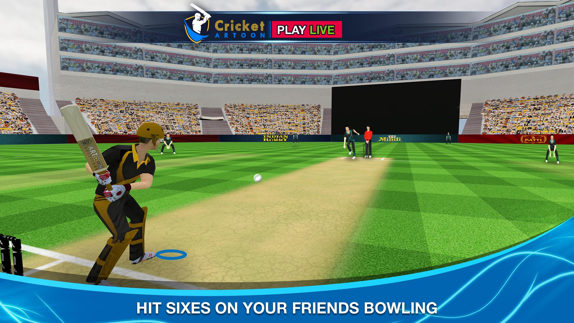 Cricket Multiplayer