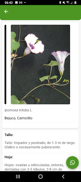 Pem App